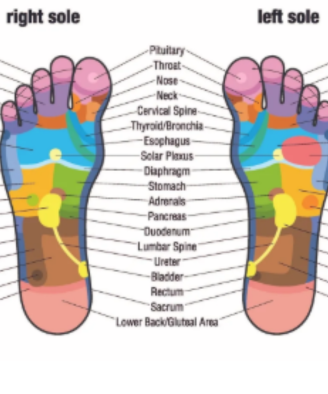 brassall massage - reflexology